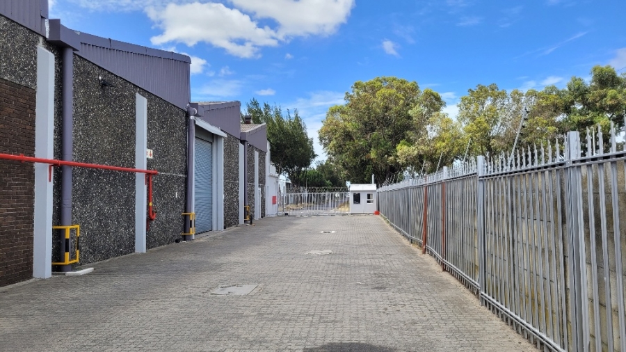 To Let Commercial Property for Rent in Epping Industrial Western Cape